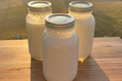 Three jars of raw kefir and goat milk on a wooden surface, illuminated by sunlight.